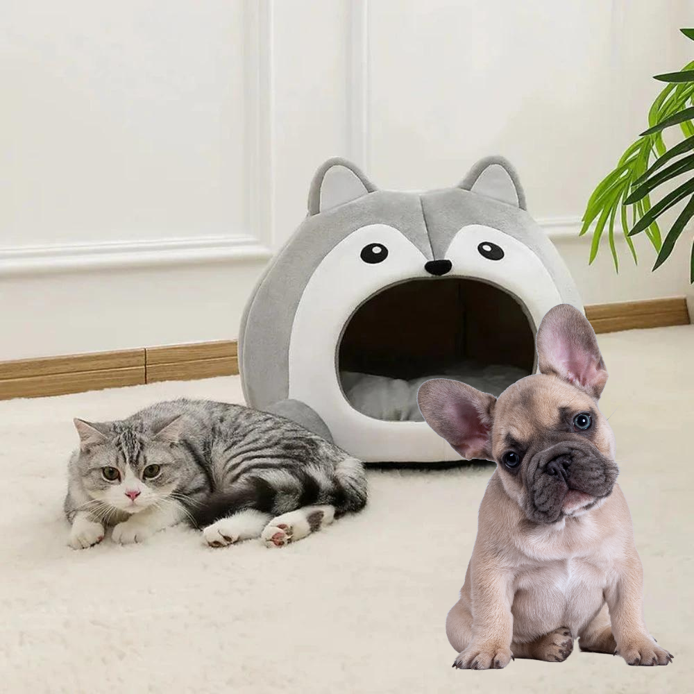 Yellow Pandora cartoon fox theme pet house, gray and white dog bed with fox design, cozy and soft for small pets.